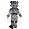 Chat costume de mascotte