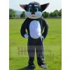 Chat costume de mascotte