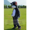 Chat costume de mascotte