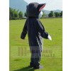 Chat costume de mascotte