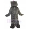 Chat costume de mascotte