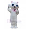 Chat costume de mascotte