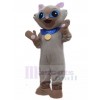 Chat costume de mascotte