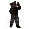 Ours costume de mascotte