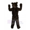 Ours costume de mascotte