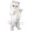 Chat costume de mascotte