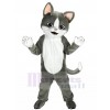 Chat costume de mascotte