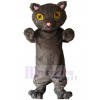 Chat costume de mascotte