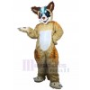 Renard costume de mascotte