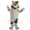 Chat costume de mascotte