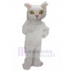 Chat costume de mascotte
