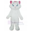Chat costume de mascotte
