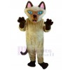 Chat costume de mascotte