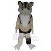 Chat costume de mascotte