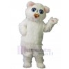 Chat costume de mascotte