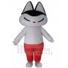 Chat costume de mascotte