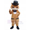 Chat costume de mascotte