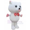 Chat costume de mascotte