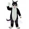 Chat costume de mascotte