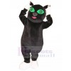 Chat costume de mascotte