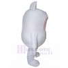 Chat costume de mascotte