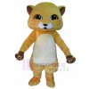 Chat costume de mascotte