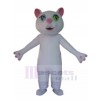 Chat costume de mascotte