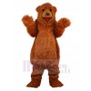Ours costume de mascotte