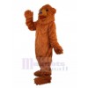 Ours costume de mascotte