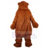 Ours costume de mascotte