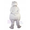 Ours costume de mascotte