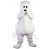 Ours costume de mascotte