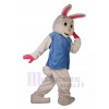 Lapin costume de mascotte