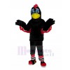 Aigle costume de mascotte