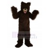 Ours costume de mascotte
