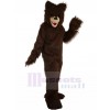 Ours costume de mascotte