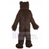 Ours costume de mascotte