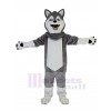 Chien costume de mascotte