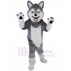 Chien costume de mascotte