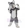 Chien costume de mascotte