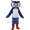 Hibou costume de mascotte