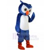 Hibou costume de mascotte