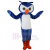 Hibou costume de mascotte