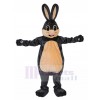 Lapin costume de mascotte