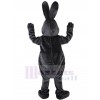 Lapin costume de mascotte