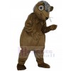 Hérisson Costume de Mascotte