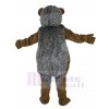 Hérisson Costume de Mascotte