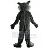 Chat sauvage costume de mascotte