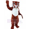 Tigre costume de mascotte
