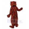 Tigre costume de mascotte